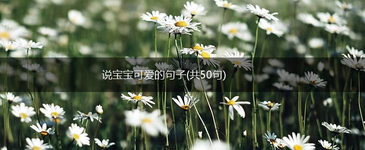 说宝宝可爱的句子(共50句),第1张