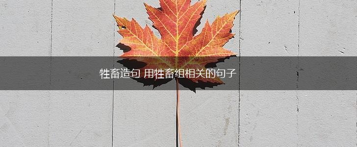 牲畜造句 用牲畜组相关的句子,第1张
