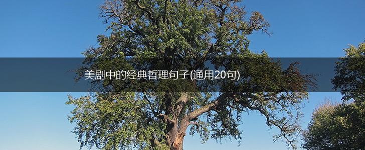 美剧中的经典哲理句子(通用20句),第1张