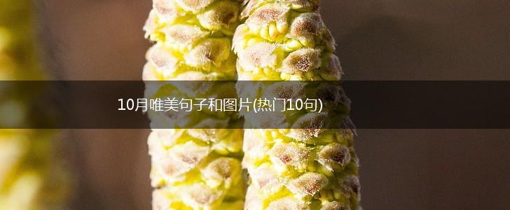 10月唯美句子和图片(热门10句),第1张