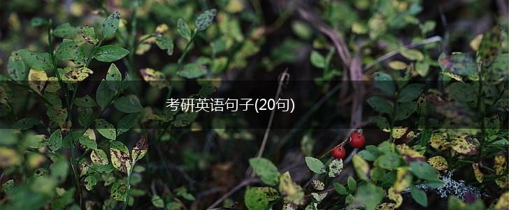 考研英语句子(20句),第1张