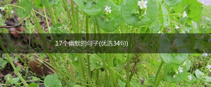 17个幽默的句子(优选34句),第1张