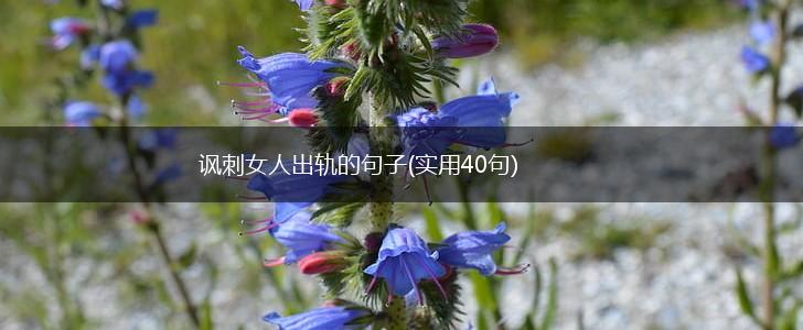 讽刺女人出轨的句子(实用40句),第1张