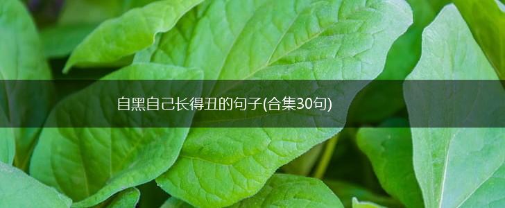 自黑自己长得丑的句子(合集30句),第1张