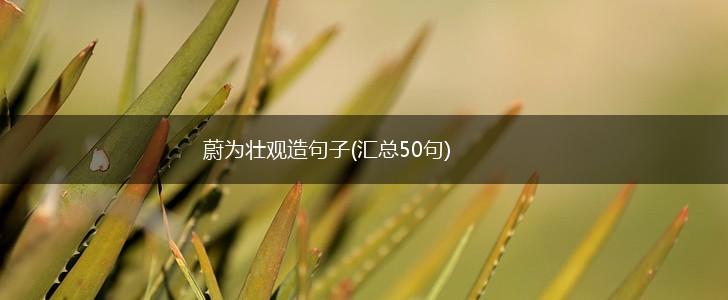 蔚为壮观造句子(汇总50句),第1张