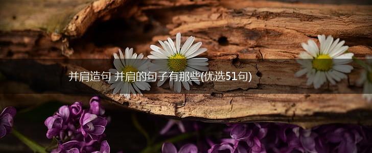 并肩造句 并肩的句子有那些(优选51句),第1张