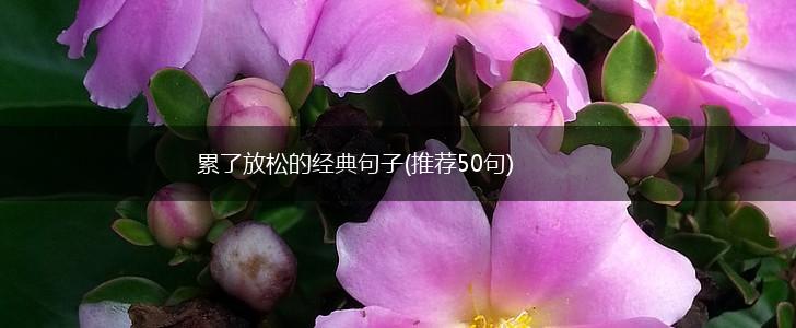 累了放松的经典句子(推荐50句),第1张