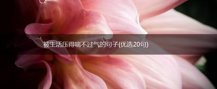被生活压得喘不过气的句子(优选20句),第1张