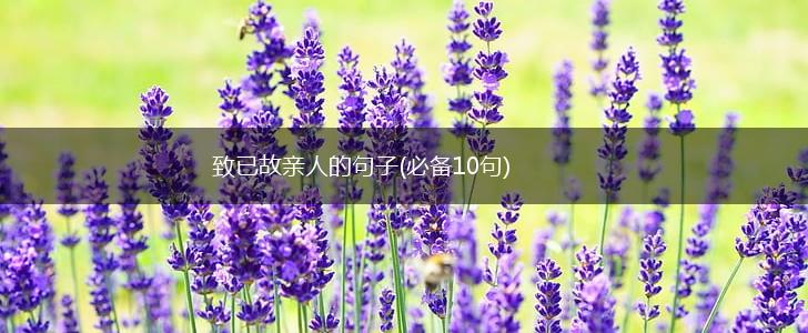 致已故亲人的句子(必备10句),第1张