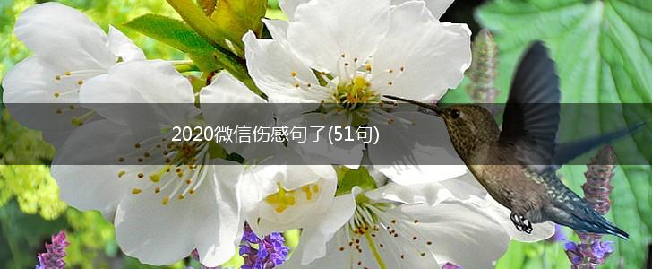 2020微信伤感句子(51句),第1张
