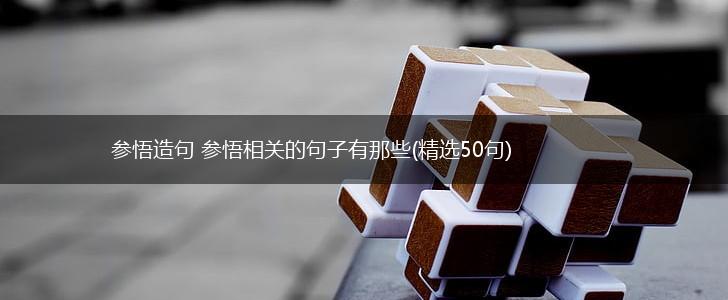 参悟造句 参悟相关的句子有那些(精选50句),第1张