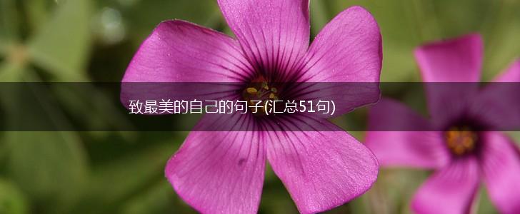 致最美的自己的句子(汇总51句),第1张