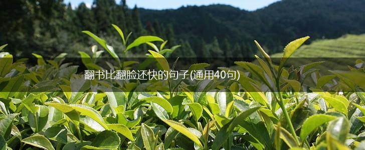 翻书比翻脸还快的句子(通用40句),第1张