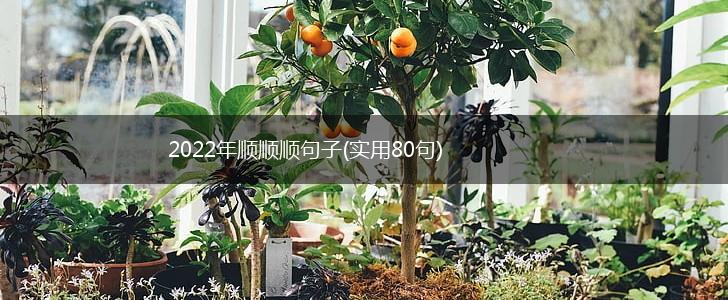 2022年顺顺顺句子(实用80句),第1张