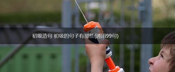 初级造句 初级的句子有那些(通用99句),第1张