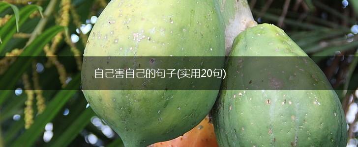 自己害自己的句子(实用20句),第1张
