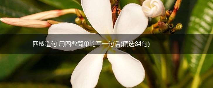 四散造句 用四散简单的写一句话(精选84句),第1张