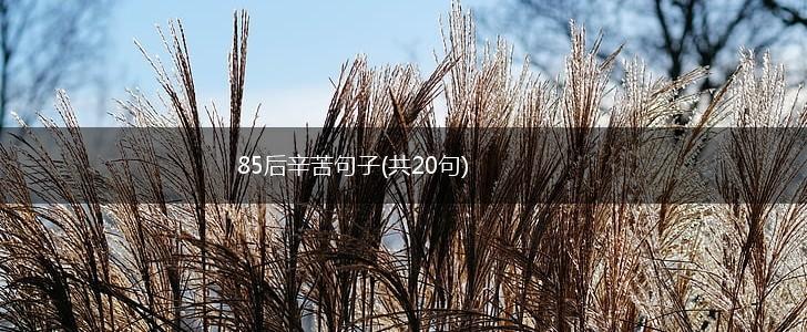 85后辛苦句子(共20句),第1张