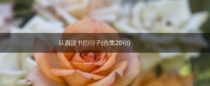认真读书的句子(合集20句),第1张