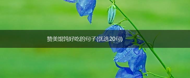 赞美馄饨好吃的句子(优选20句),第1张