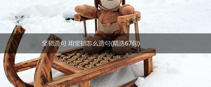 坚韧造句 用坚韧怎么造句(精选67句),第1张