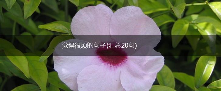 觉得很烦的句子(汇总20句),第1张