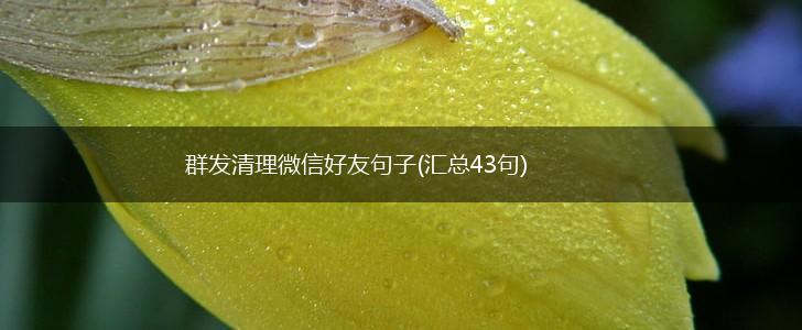 群发清理微信好友句子(汇总43句),第1张
