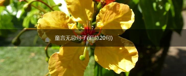 童言无忌句子(汇总20句),第1张