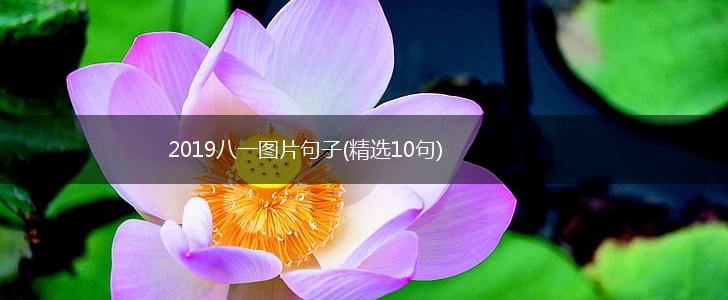 2019八一图片句子(精选10句),第1张