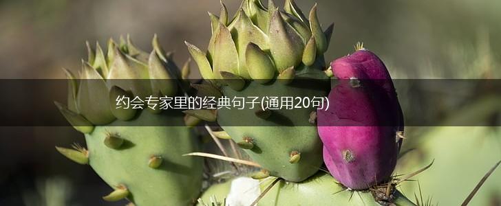 约会专家里的经典句子(通用20句),第1张