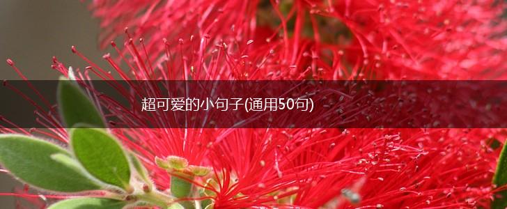超可爱的小句子(通用50句),第1张