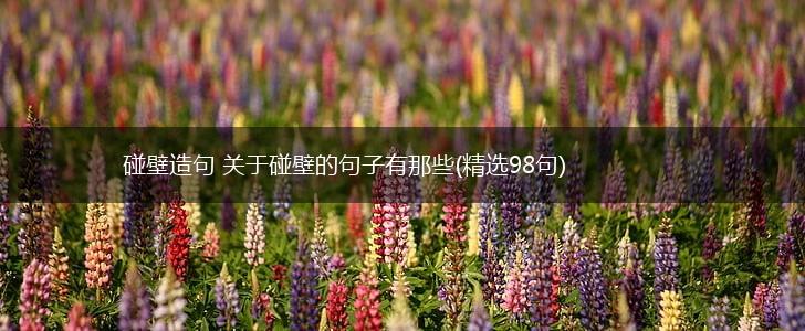 碰壁造句 关于碰壁的句子有那些(精选98句),第1张