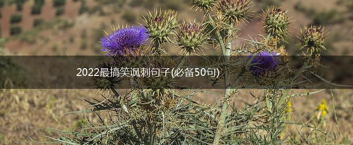 2022最搞笑讽刺句子(必备50句),第1张