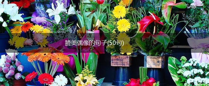 赞美偶像的句子(50句),第1张