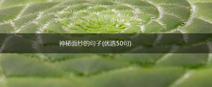 神秘面纱的句子(优选50句),第1张