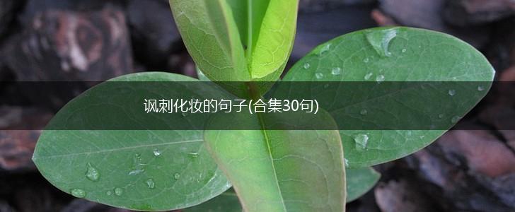 讽刺化妆的句子(合集30句),第1张
