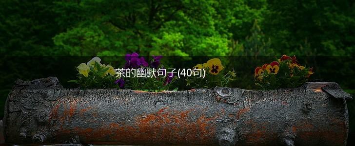 茶的幽默句子(40句),第1张