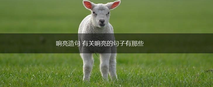 响亮造句 有关响亮的句子有那些,第1张