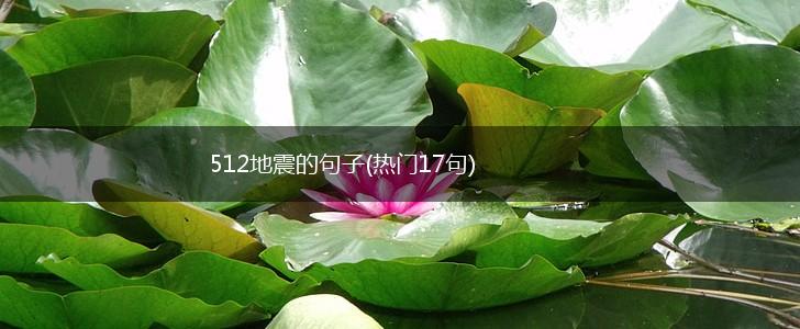 512地震的句子(热门17句),第1张
