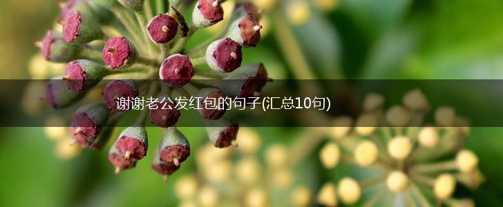 谢谢老公发红包的句子(汇总10句),第1张