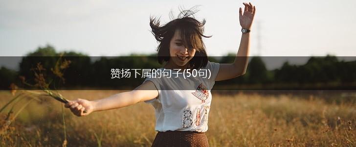 赞扬下属的句子(50句),第1张