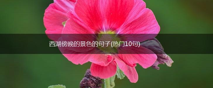 西湖傍晚的景色的句子(热门10句),第1张
