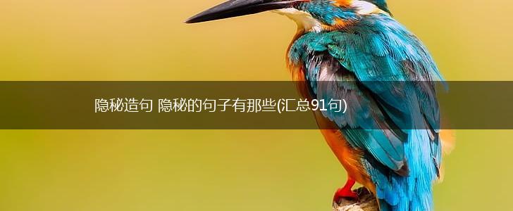 隐秘造句 隐秘的句子有那些(汇总91句),第1张