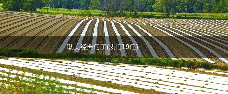 耽美经典句子(热门19句),第1张