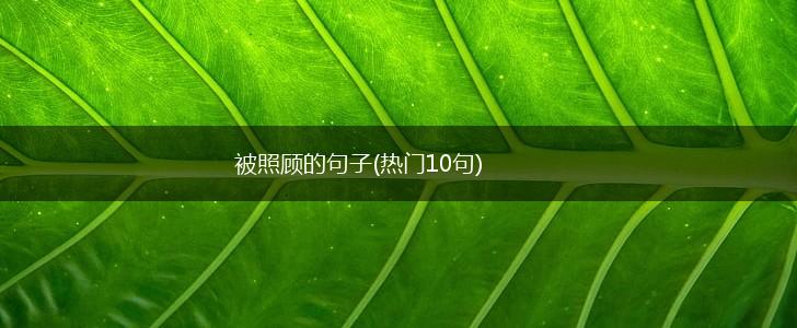 被照顾的句子(热门10句),第1张