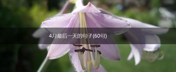 4月最后一天的句子(60句),第1张