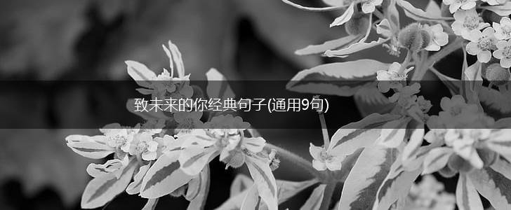 致未来的你经典句子(通用9句),第1张