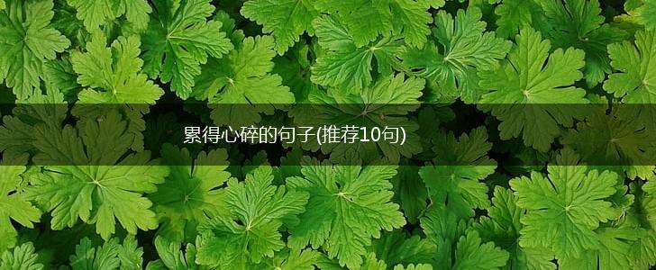 累得心碎的句子(推荐10句),第1张