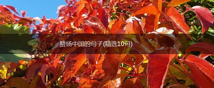 赞扬中国的句子(精选10句),第1张