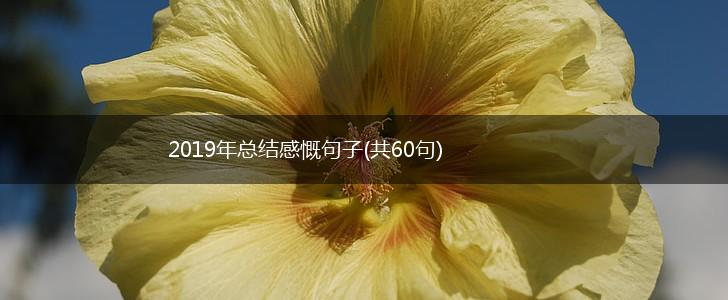 2019年总结感慨句子(共60句),第1张